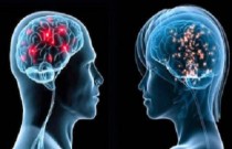 Qual cérebro é mais ativo - dos homens ou das mulheres?