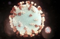 Nova cepa de gripe suína descoberta em um ser humano no Reino Unido pela primeira vez