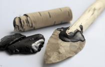 “Chiclete” de 10 mil anos revela hábitos alimentares dos adolescentes da Idade da Pedra