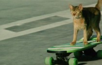 Review - Cats on Park Avenue (1989): Uma Obra-Prima Felina Cinematográfica