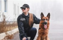 As 10 melhores raças de cães policiais do mundo
