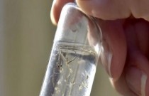 Dengue: 7 dicas para proteger a casa contra os mosquitos