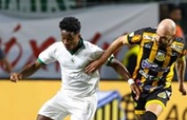 Palmeiras vence o Novorizontino e enfrenta o Santos na final do Campeonato Paulista 2024