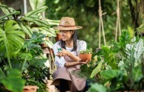 Jardinagem: cultivar pode reduzir estresse e ansiedade
