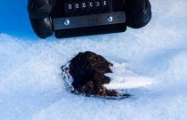 Estudo prevê perda de centenas de meteoritos na Antártica