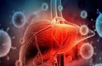 Hepatite viral fulminante - falência hiperaguda do fígado