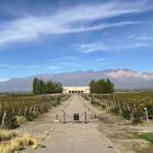 Mendoza: um roteiro gastronômico sensacional na Argentina