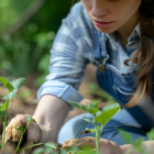 Como começar uma horta para iniciantes do zero e perder peso