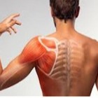 Bursite - inflamação nas articulações ósseas