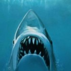 10 filmes que capitalizaram em cima do sucesso de Tubarão (1975)