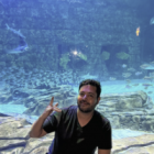 Sea World, um dos parques mais divertidos de Orlando