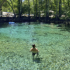 Ginnie Springs – as incríveis piscinas naturais a 2 horas de Orlando