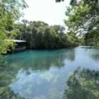 Homosassa, uma cidade incrível pertinho de Orlando
