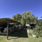 La Azul – uma das melhores experiências gastronômicas de Mendoza!