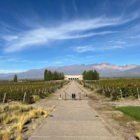 Salentein: uma das vinícolas mais lindas de Mendoza!