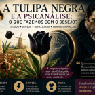 A Tulipa Negra e a Psicanálise: desejo e inveja