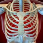 Costocondrite - patologia dolorosa das cartilagens costais