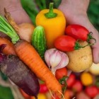O que devemos comer para ter a pele mais jovem