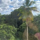 Então céus e terra começaram
