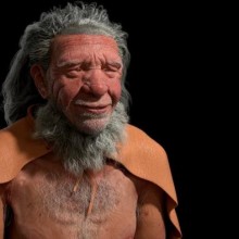 Neandertais: como uma dieta carnívora pode ter levado ao seu desaparecimento