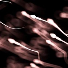 A contagem de esperma está caindo em todo o mundo, e o declínio está se acelerando