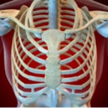 Costocondrite - patologia dolorosa das cartilagens costais