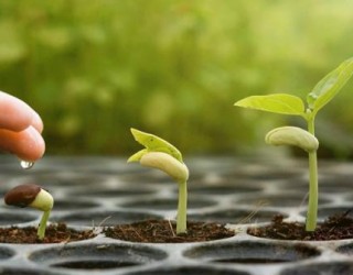 Caminhos para o crescimento espiritual: Dicas para iniciantes