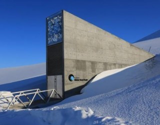 Banco Global de Sementes: A Arca de Noé Vegetal da Noruega