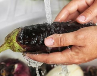 Berinjela: descubra como a água dessa fruta pode ajudar na perda de peso