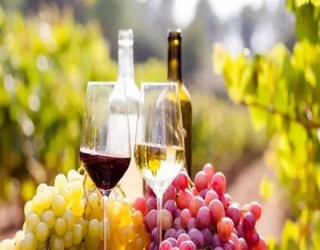 Veja os benefícios do vinho para a saúde e como consumir