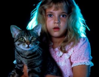 Olhos de Gato: leia sobre a adaptação de Stephen King