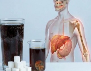 Estragos que acontecem com seu corpo ao beber refrigerante
