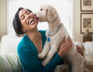 Gente que tem cachorro sofre menos com a depressão