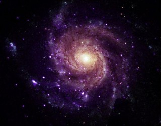 O mistério dos 84 objetos que não deveriam estar ali: NASA encontra uma nova classe