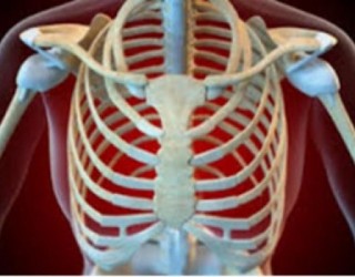 Costocondrite - patologia dolorosa das cartilagens costais
