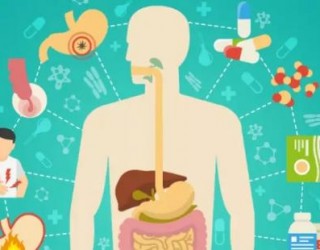 Motor da vida: como entender e acelerar o seu metabolismo?