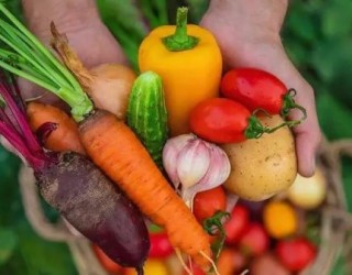 O que devemos comer para ter a pele mais jovem