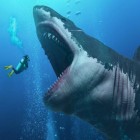 Megalodon - Tudo que você precisa saber sobre o maior tubarão do mundo