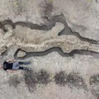 Enorme fóssil de dragão do mar de 180 milhões de anos atrás descoberto na Inglaterra