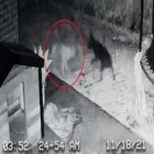 Homem afirma ter filmado um cachorro fantasma brincando com seu animal de estimação