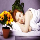 É seguro dormir com plantas no quarto?