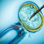 Inseminação artificial x fertilização in vitro - entenda a diferença entre eles
