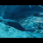 Alienígenas vivem nos oceanos antes mesmo do aparecimento dos homens na Terra