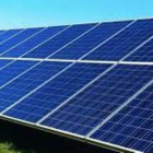 Cientistas copiam fotossíntese para melhorar desempenho de painéis solares