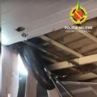 Morador se surpreende ao encontrar jiboia de 15kg no teto de casa