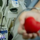 Doação de sangue: mitos e verdades