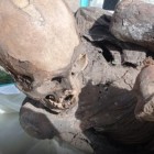 Múmia de 600 anos é encontrada na mochila de entregador