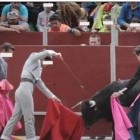 Escolas de touradas da Espanha – Uma cultura monstruosa que precisa acabar