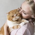Saúde e bem-estar de pets: como manter seu animal saudável e feliz