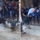 Vídeo: na Espanha, touro deixa homem morto e outro ferido a chifradas